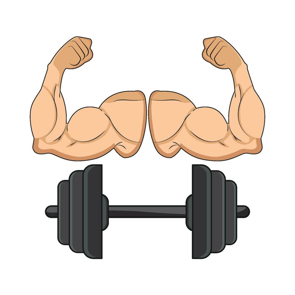 illustration of muscle with barbell vector