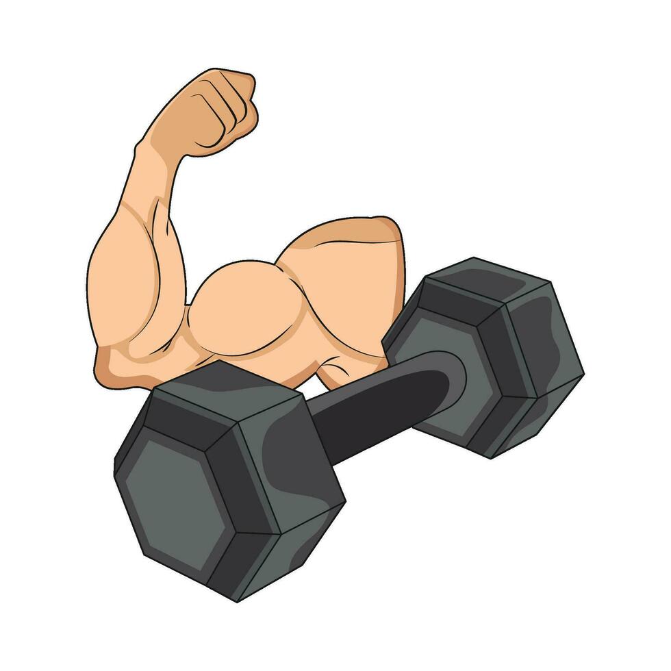 illustration of muscle with barbell vector