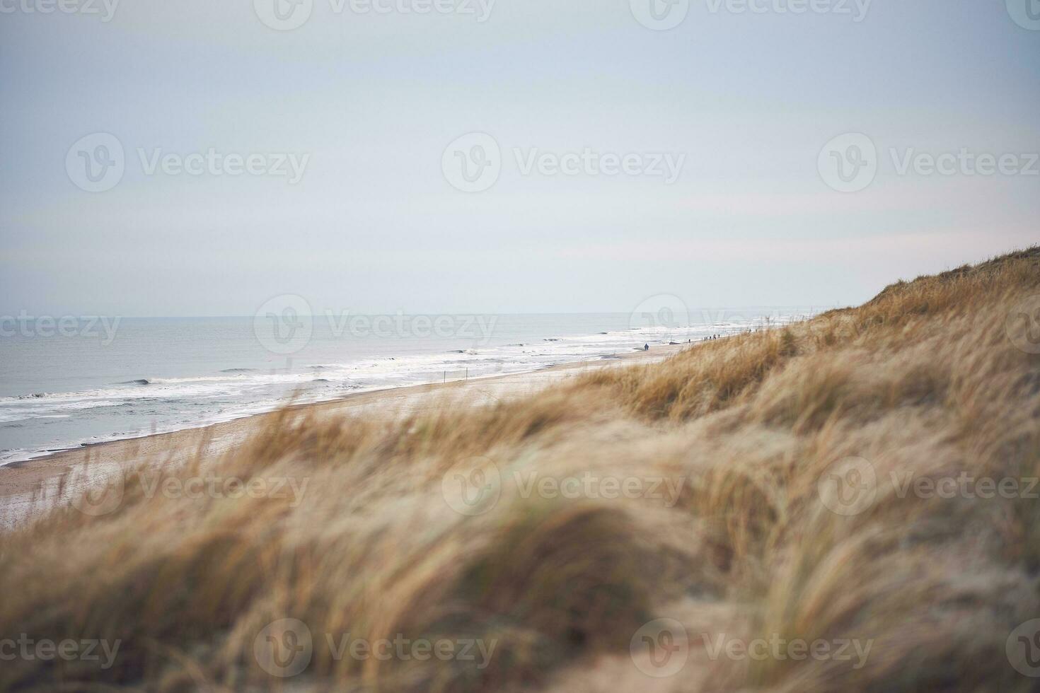 Danish coastline in winter photo