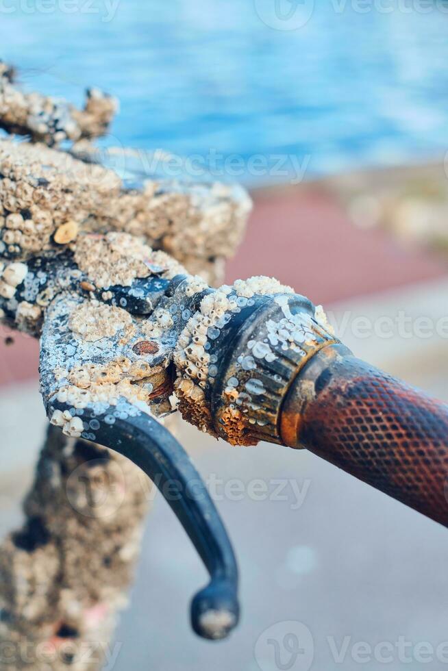 Handle of E-Scooter that was submerged in the ocean photo