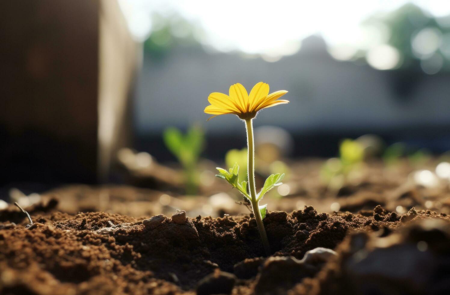 AI generated a yellow flower growing in the ground photo