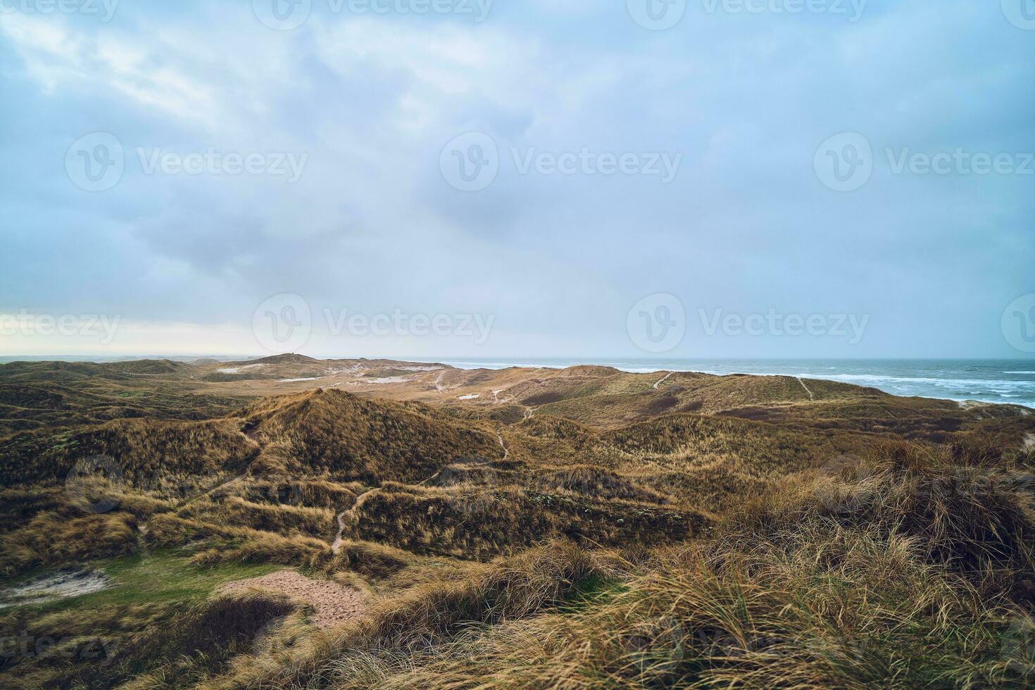 wide dune landscape in denmark photo