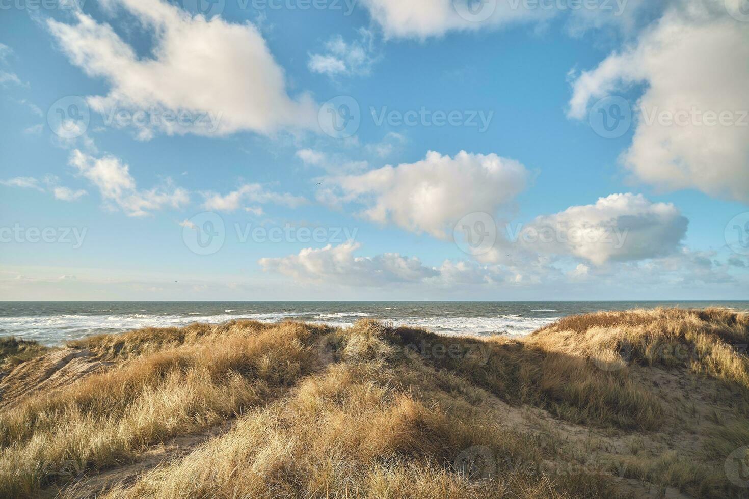 Coastal Landscape in western Denmark photo