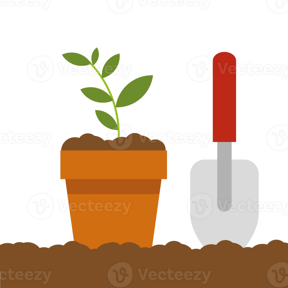 Planting flower in pot. Gardening png