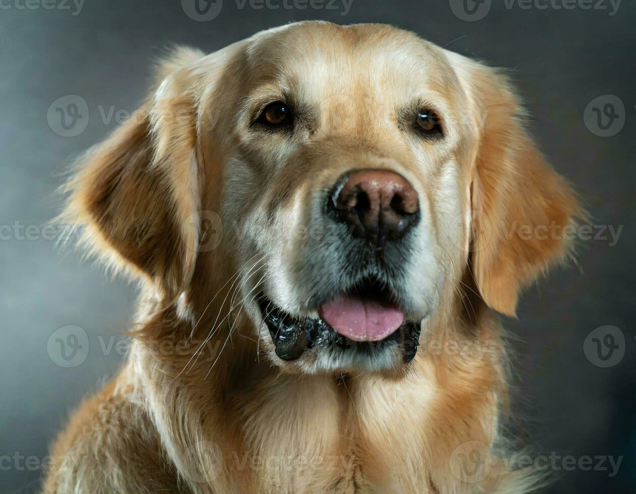 AI generated Close-Up Portrait of a Beautiful Golden Retriever with Blurred Background photo