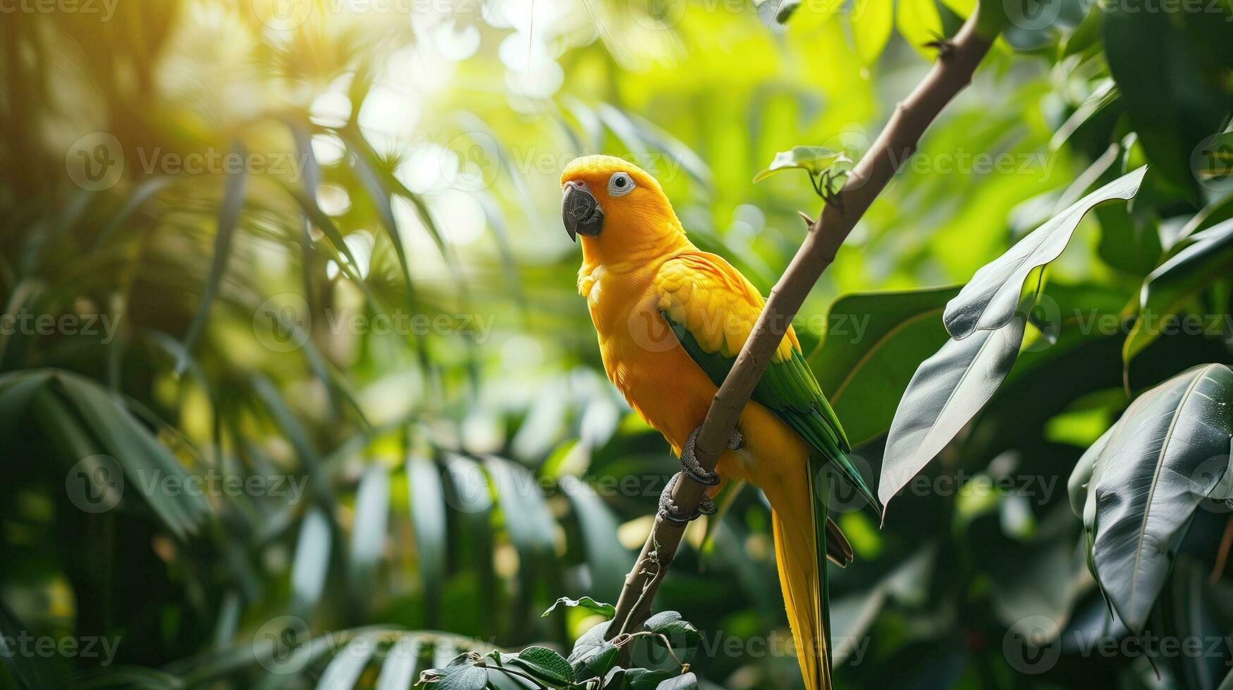 AI generated A sunlit parrot perched in the jungle photo