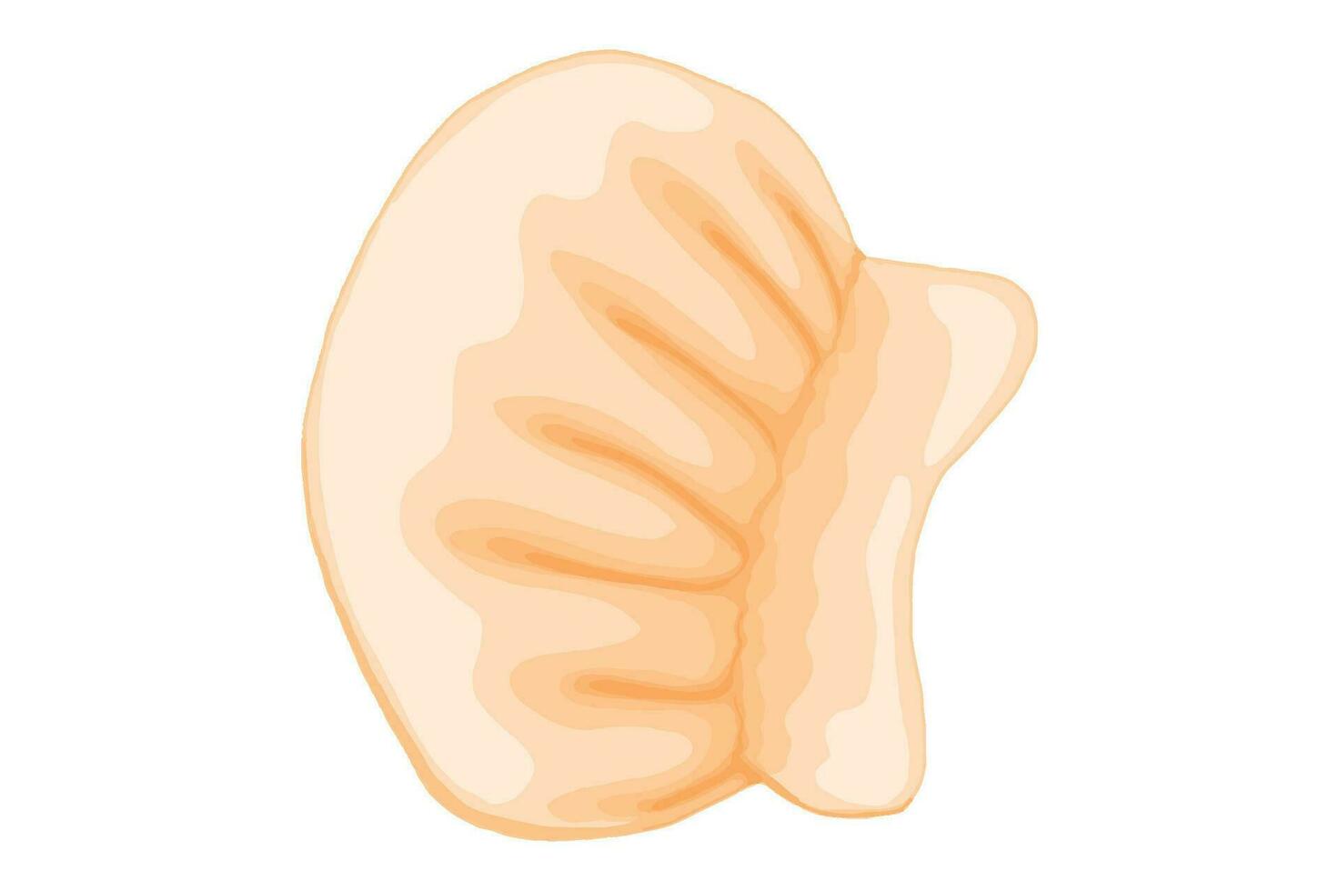 Chinese Food Dim sum Vector