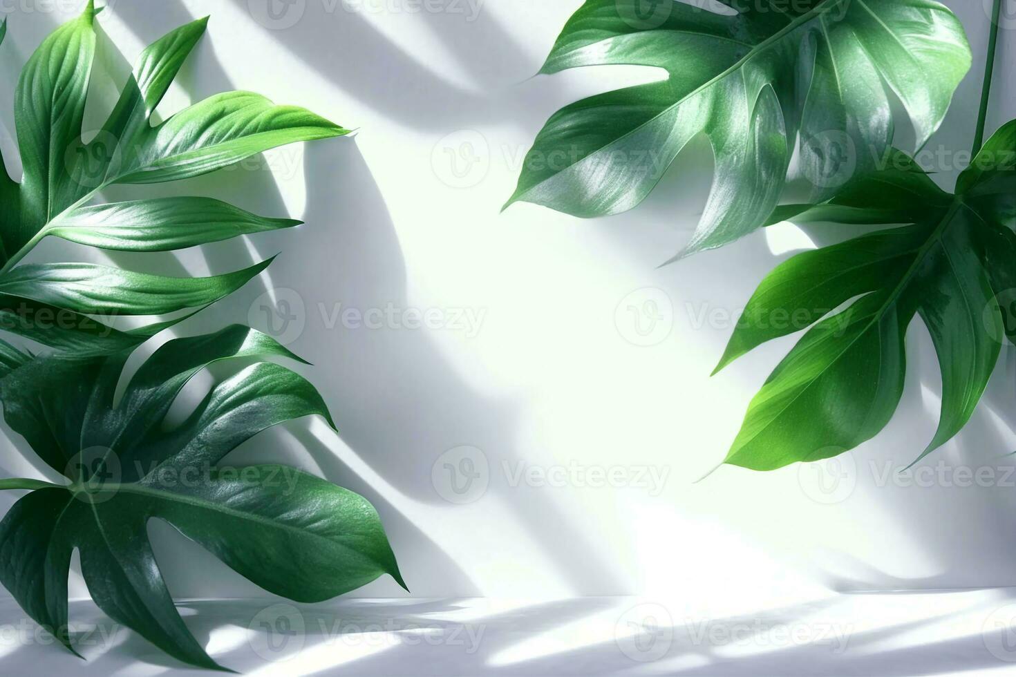 AI generated Creative layout of colorful riskus leaves on a white background in the rays of the sun, with shadows. Minimal summer exotic concept with copy space. generative ai. photo