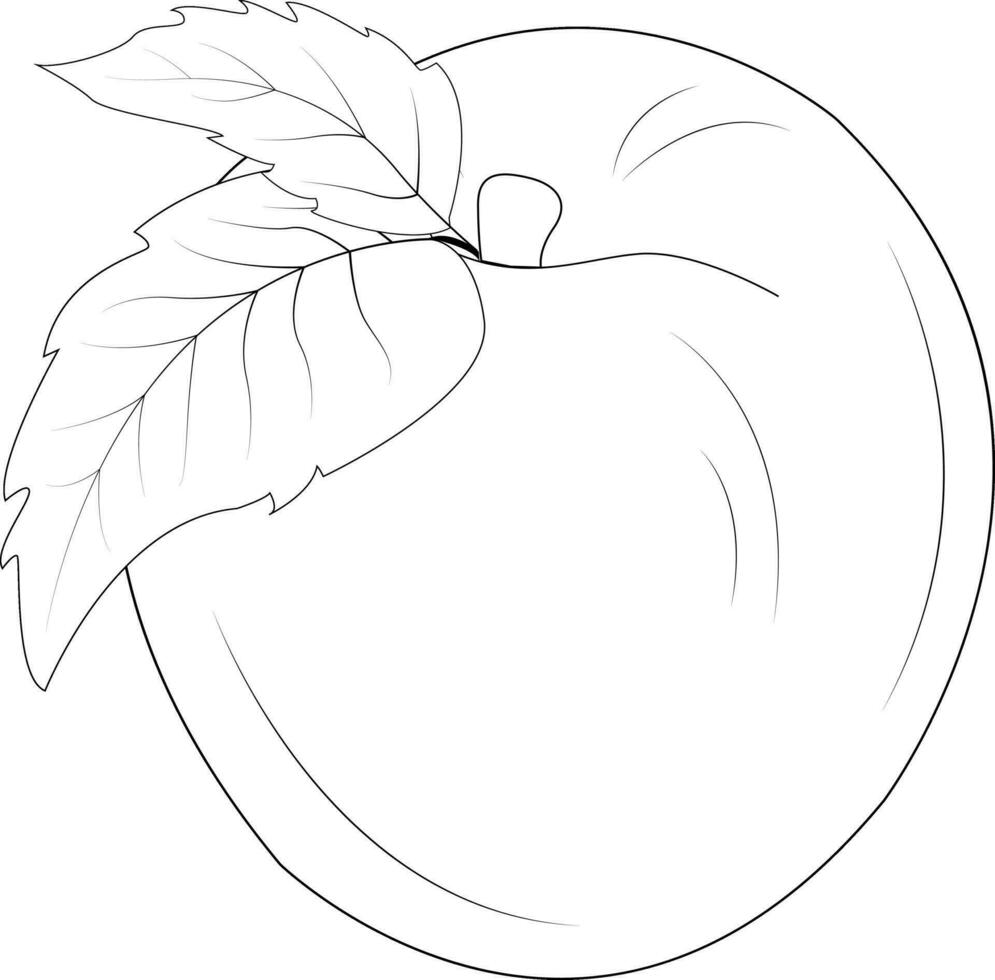 Peach silhouette. Peach with stem and leaf. Natural product. Healthy eating and diet. Design of greeting cards, posters, patches, prints on clothes, emblems. Juicy peach. vector