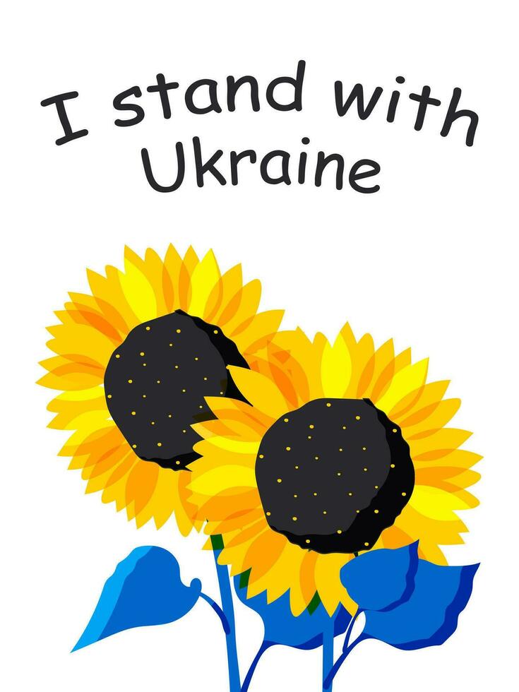 Two sunflower flowers on a white background with yellow petals and blue leaves are symbols of Ukraine. Vector. vector