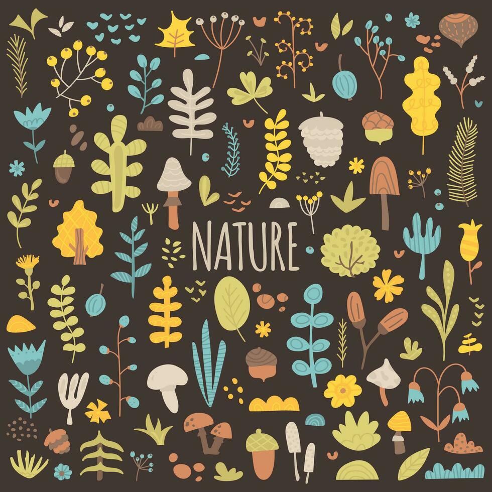 Nature, seasons, spring, summer. Big collection of natural botanical elements. Set of leaves, flower, tree, mushroom, berries, acorn, cone, nut, herbs and branches. Vector hand drawn flat illustration