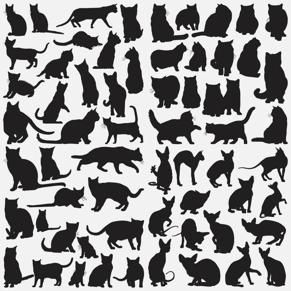 gatos silueta conjunto vector