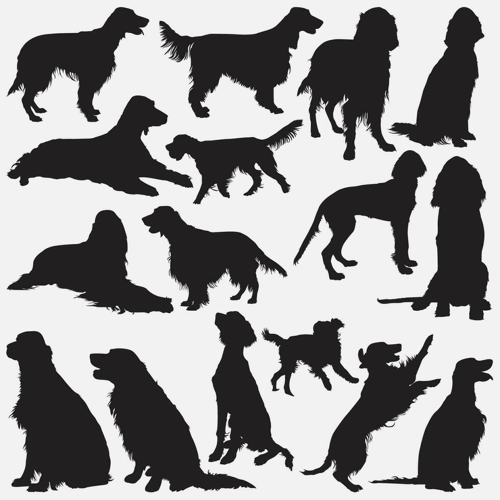 irish setter dog animal silhouette set vector