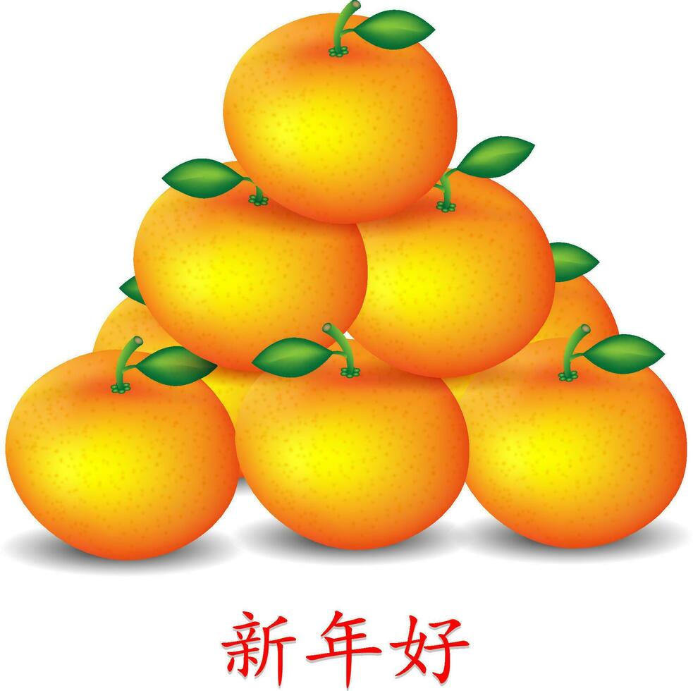 Mandarin oranges on white background for Chinese New Year card vector