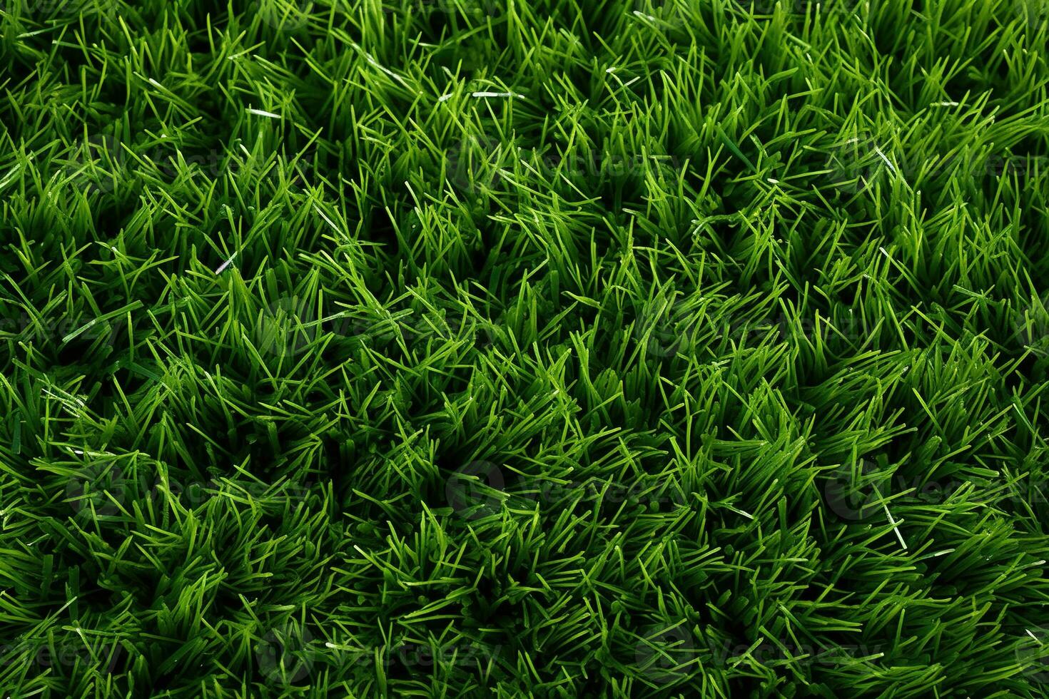AI generated Green grass texture background. Close up of fresh spring grass top view photo