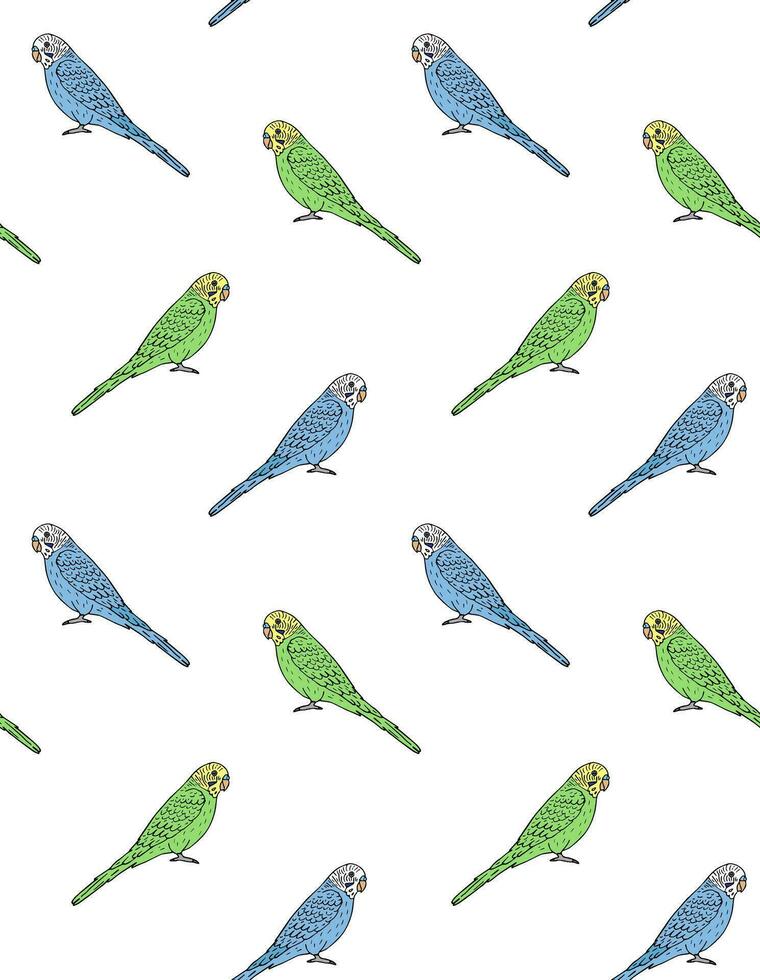 Vector seamless pattern of hand drawn budgie