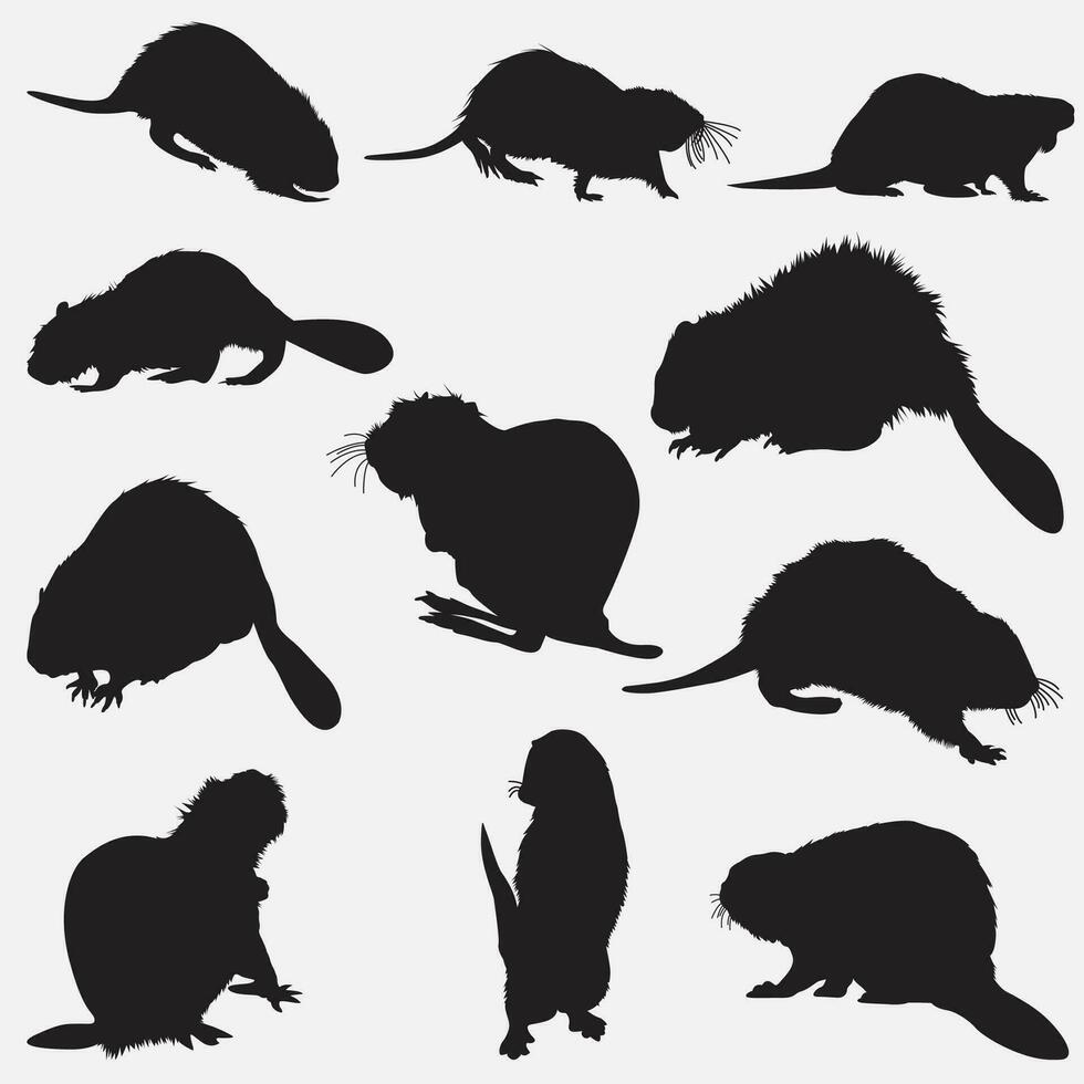 beaver animal silhouette set vector