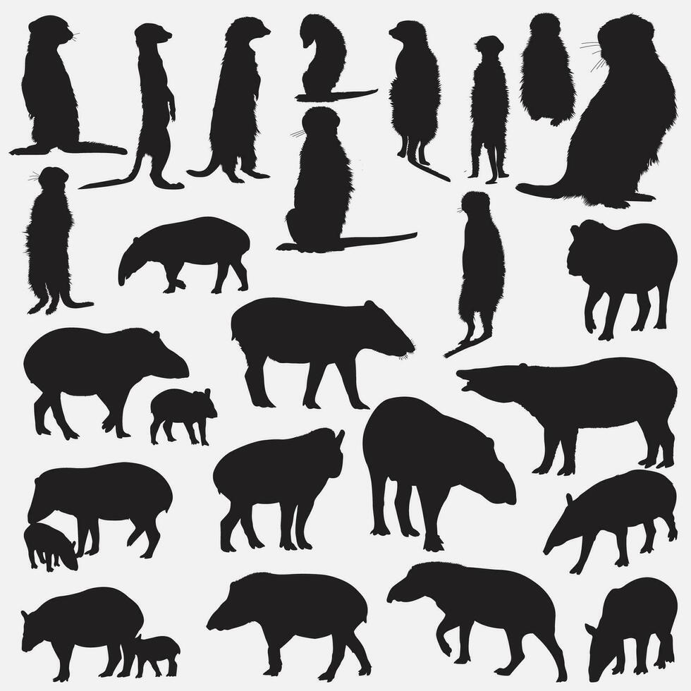 suricata tapir silueta conjunto vector