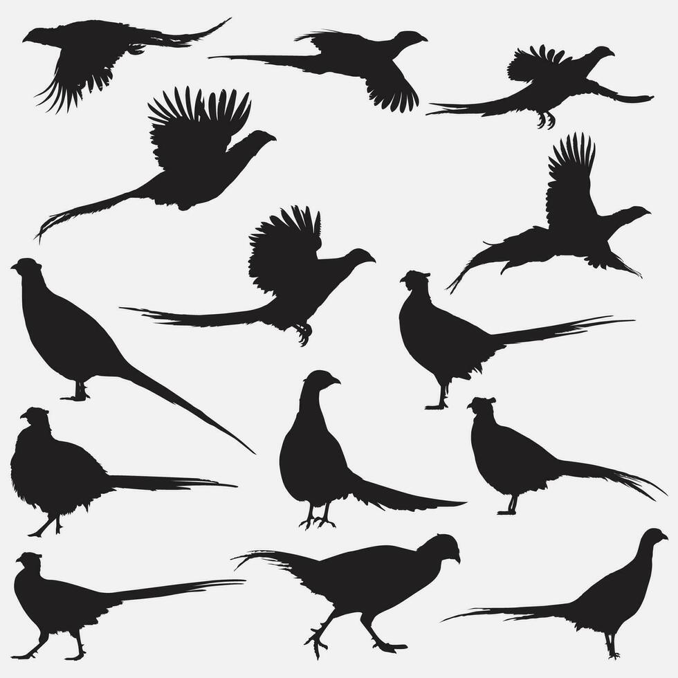 pheasant animal silhouette set vector