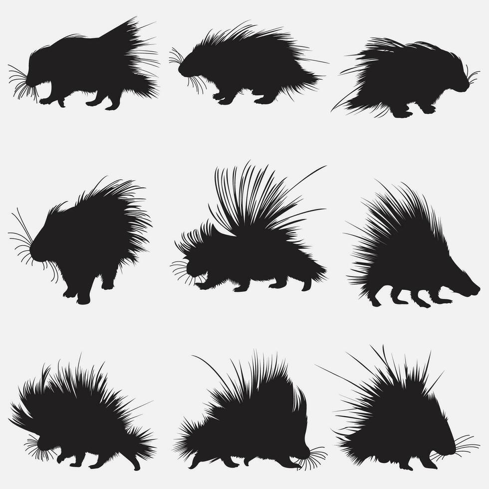 porcupine animal silhouette set vector