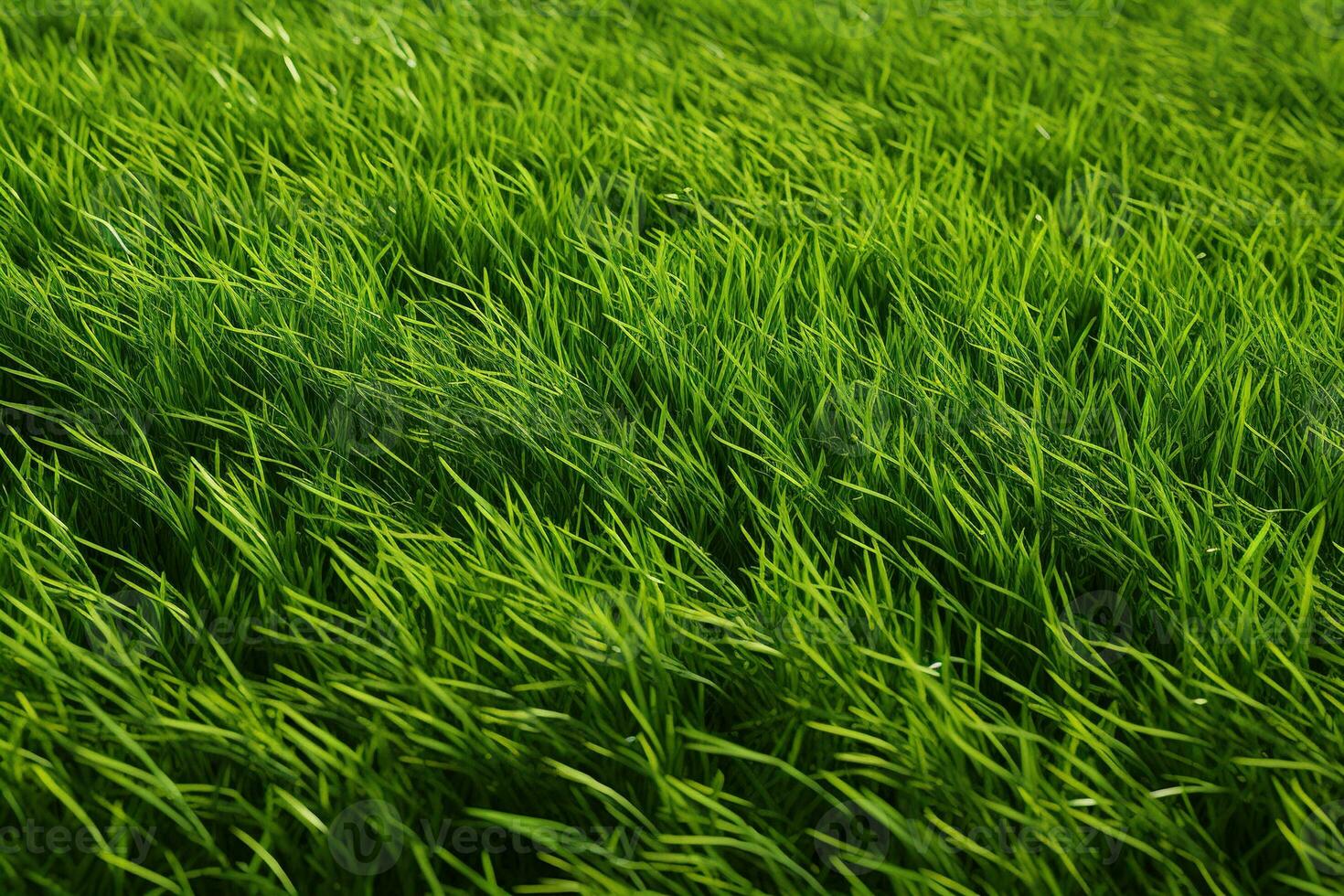 AI generated Green grass texture background. Close up of fresh spring grass top view photo