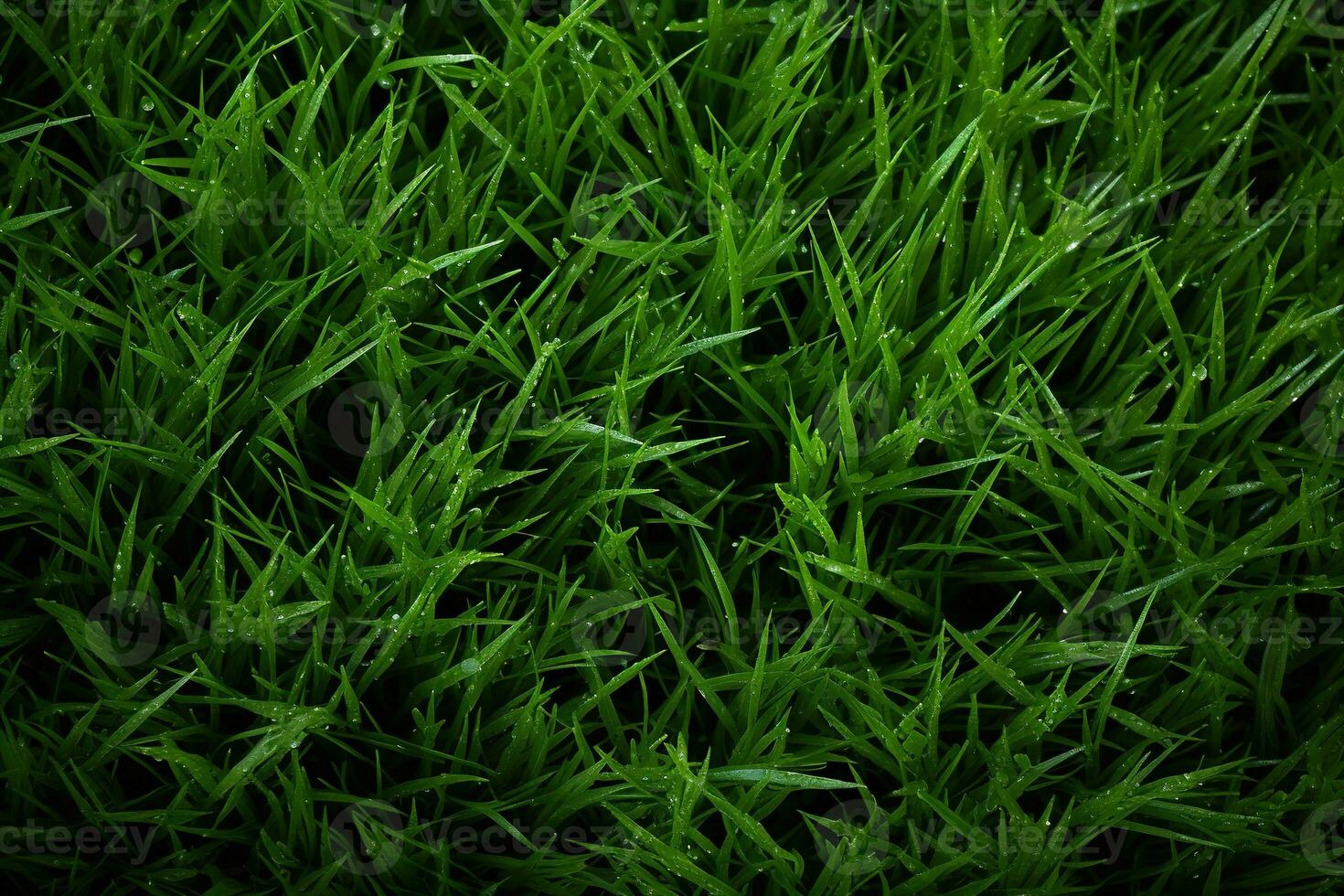 AI generated Green grass texture background. Close up of fresh spring grass top view photo