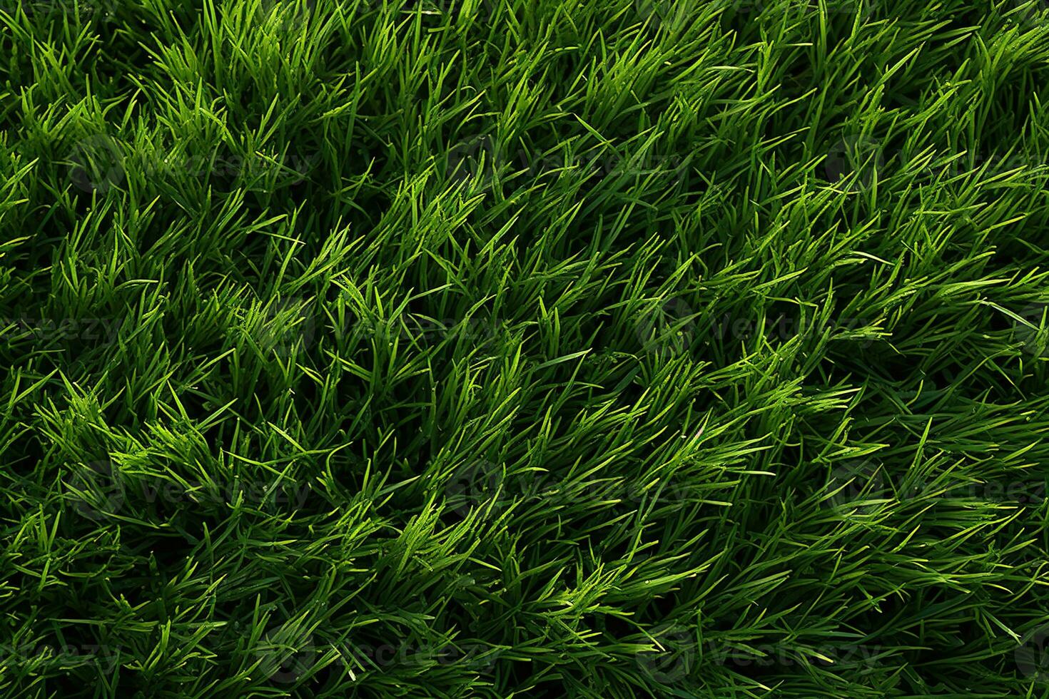 AI generated Green grass texture background. Close up of fresh spring grass top view photo