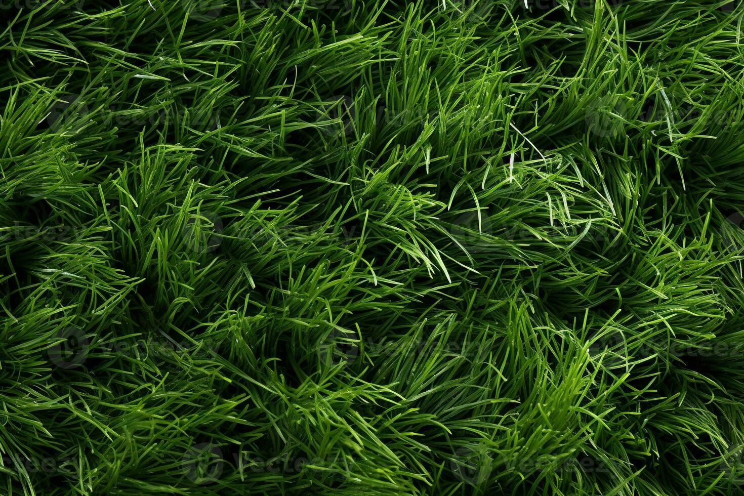 AI generated Green grass texture background. Close up of fresh spring grass top view photo
