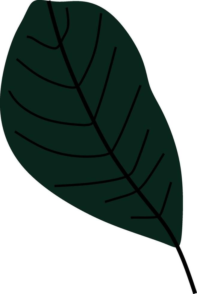 Abstract monstera leaf vector element