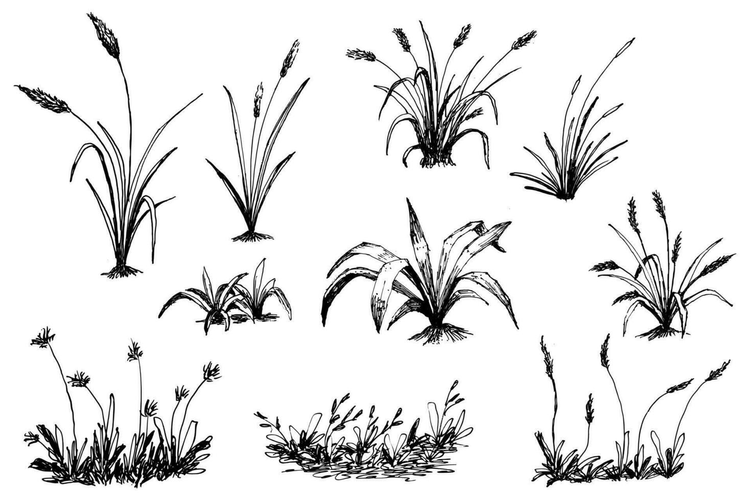 hand drawn grass set vector