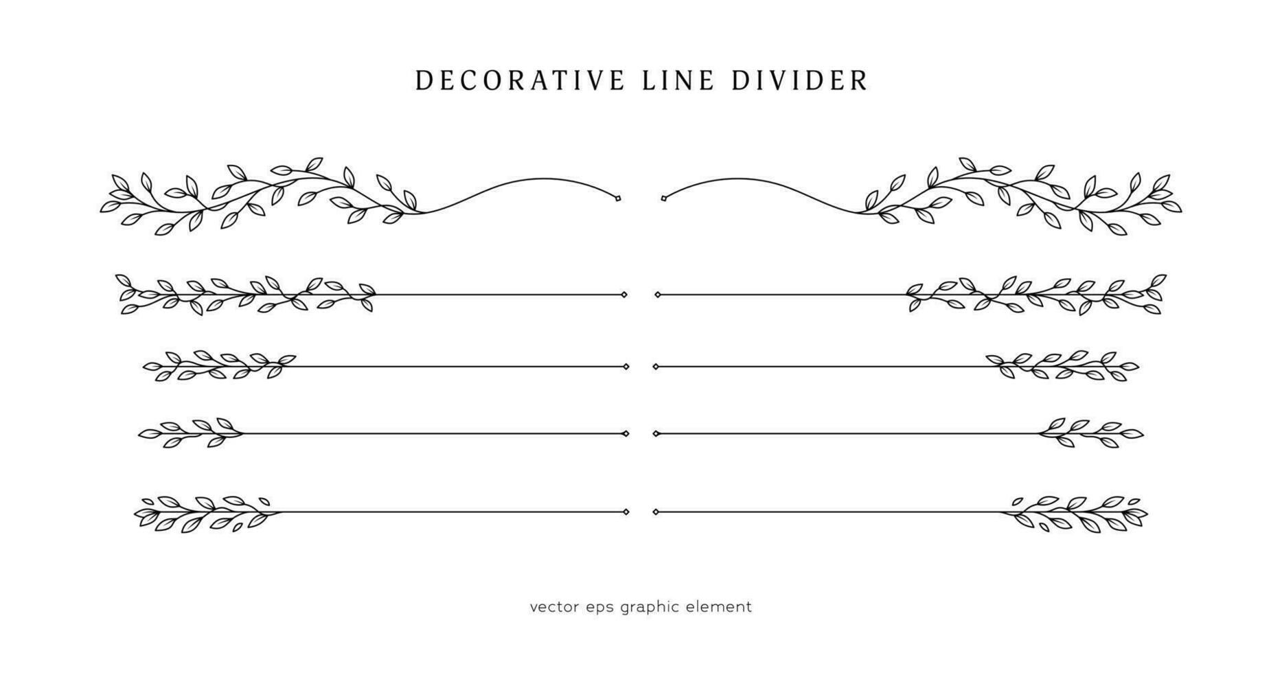 leaves vines line divider for text layout separator decoration vector element set