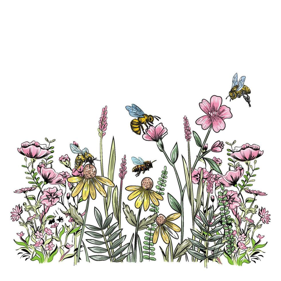 botanical flower illustration with bee sunflower honeybee vector t-shirt
