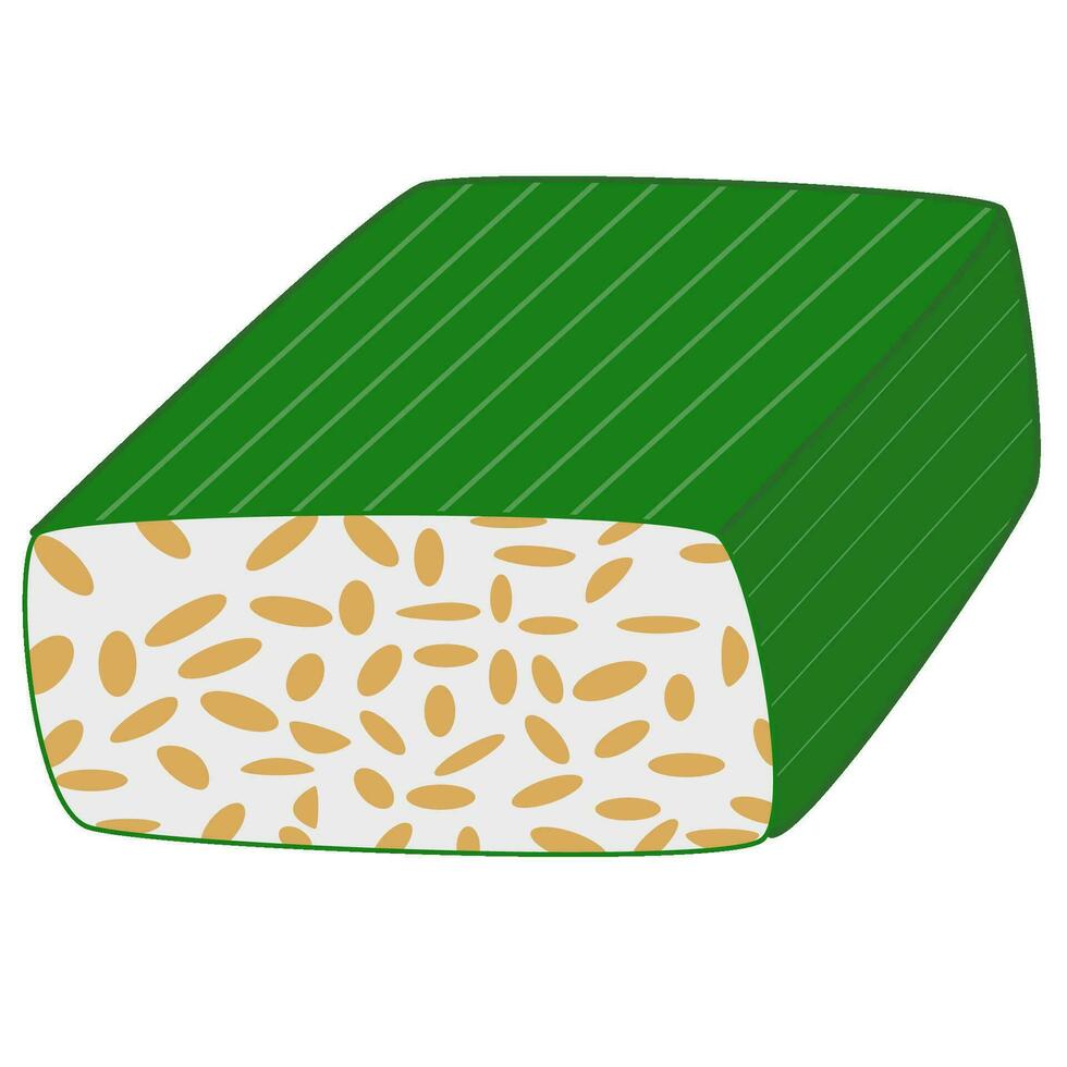 Tempeh indonesian food vector