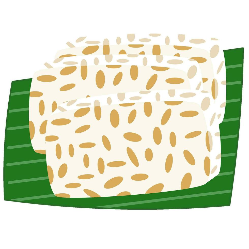 Tempeh indonesian food vector