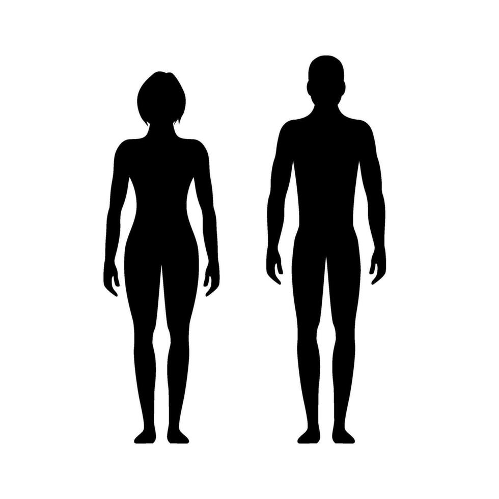 Front and side view silhouettes of man woman vector