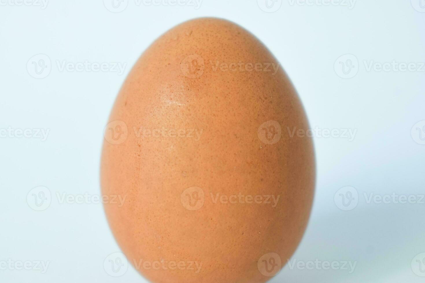 Isolated Chicken Single Chicken egg on white background photo