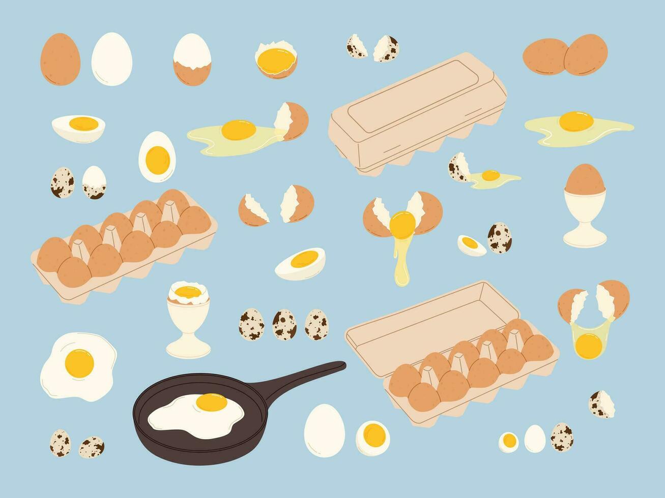 Chicken and quail eggs set. Raw, boiled and fried with broken and whole shell. Flat vector isolated illustration