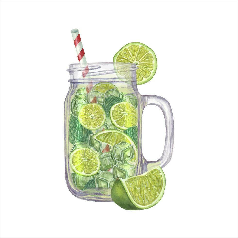 Watercolor summer refreshing mojito. Lime slices, Mint leaves, Ice cubes, drinking Straw, glass Jar. vector