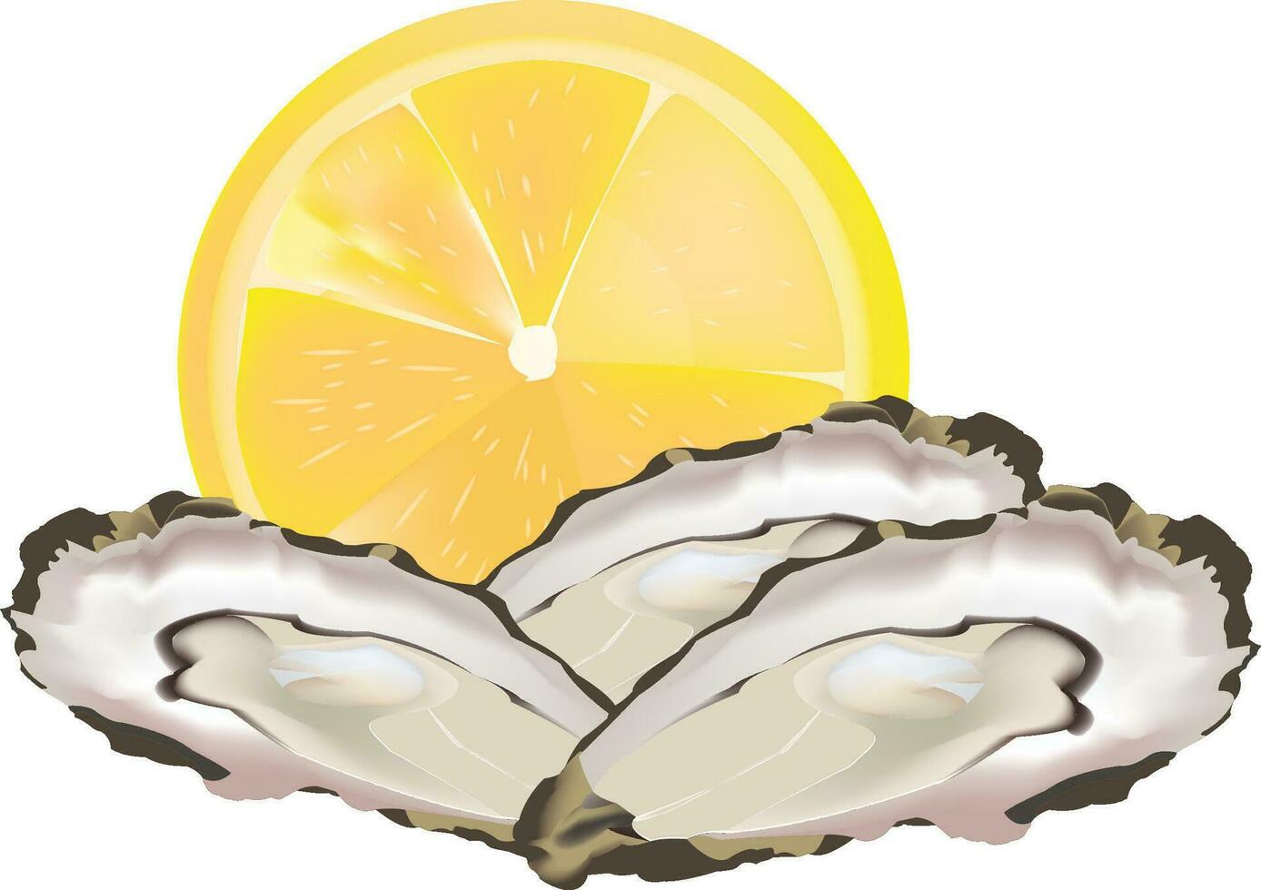 open oysters with lemon vector