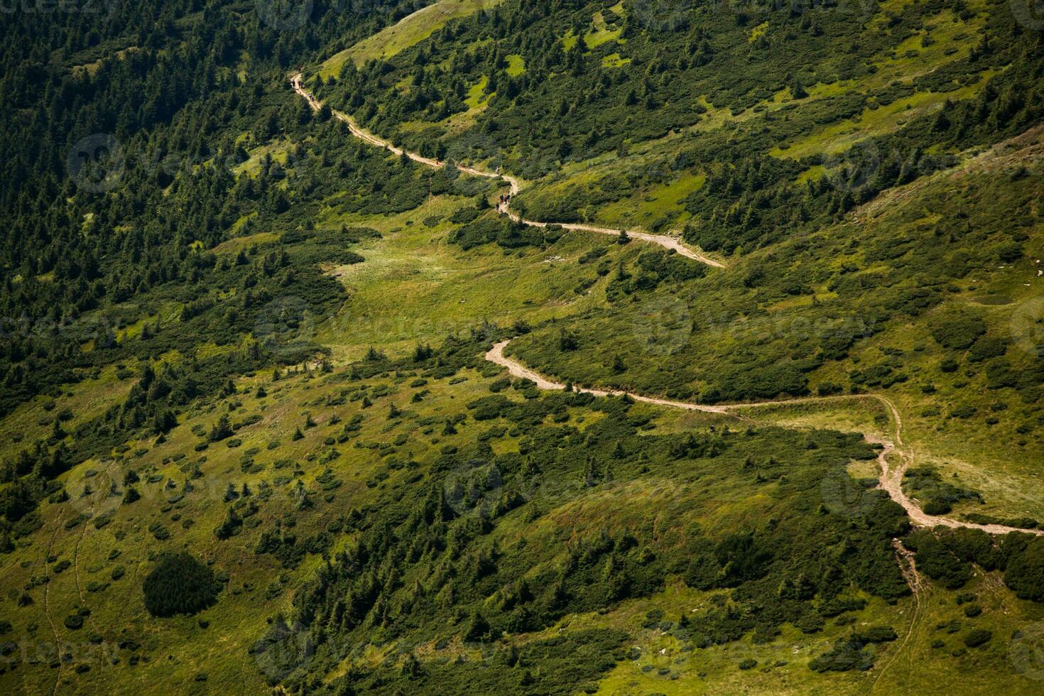 Summer landscape in the Carpathian mountains. View of the mountain peak Hoverla. Bautiful Ukrainian mountain Carpathian Hoverla. photo
