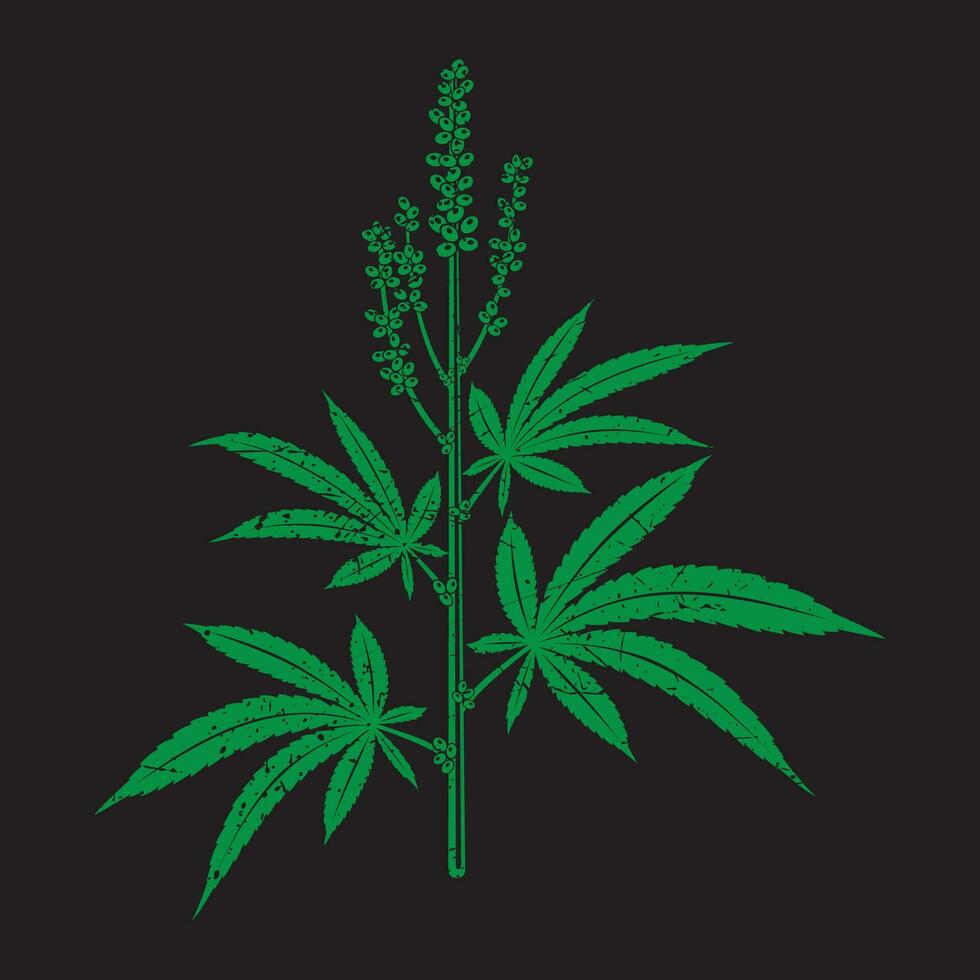 Marijuana leaf vector seamless . Cannabis engraving plant.