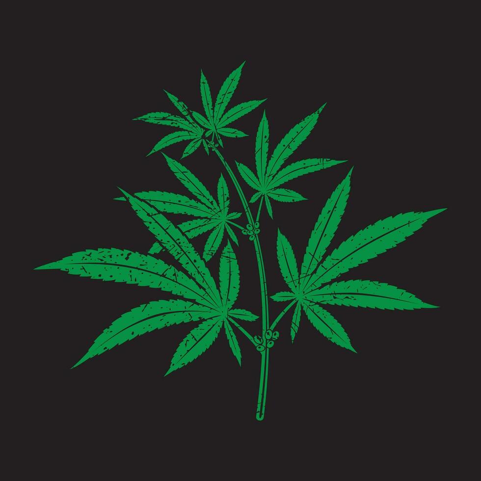 Marijuana leaf vector seamless . Cannabis engraving plant.