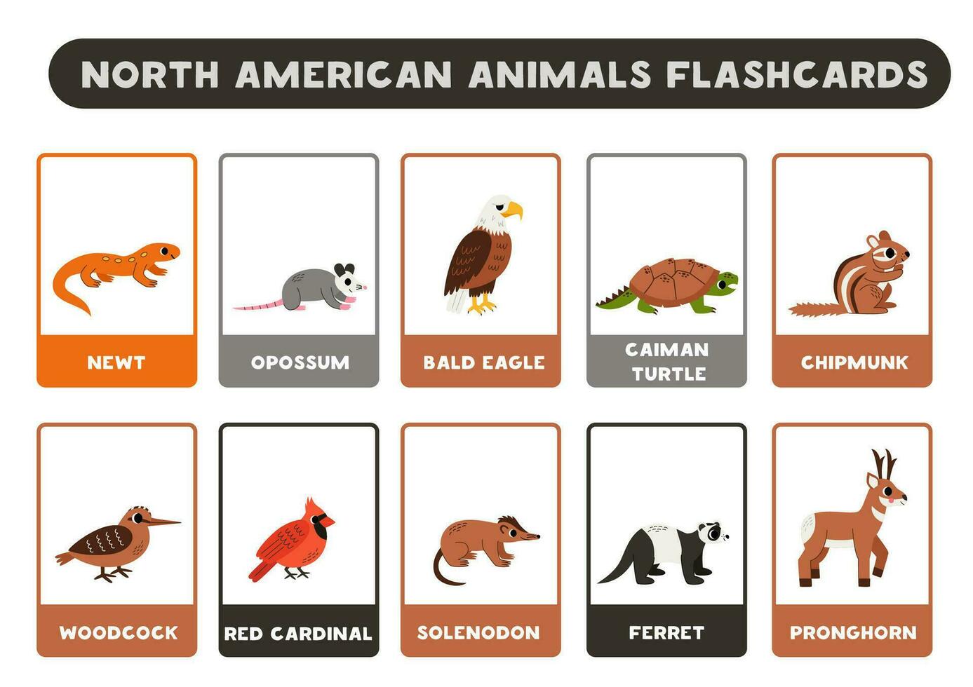 Cute North American animals with names. Flashcards for learning English. vector