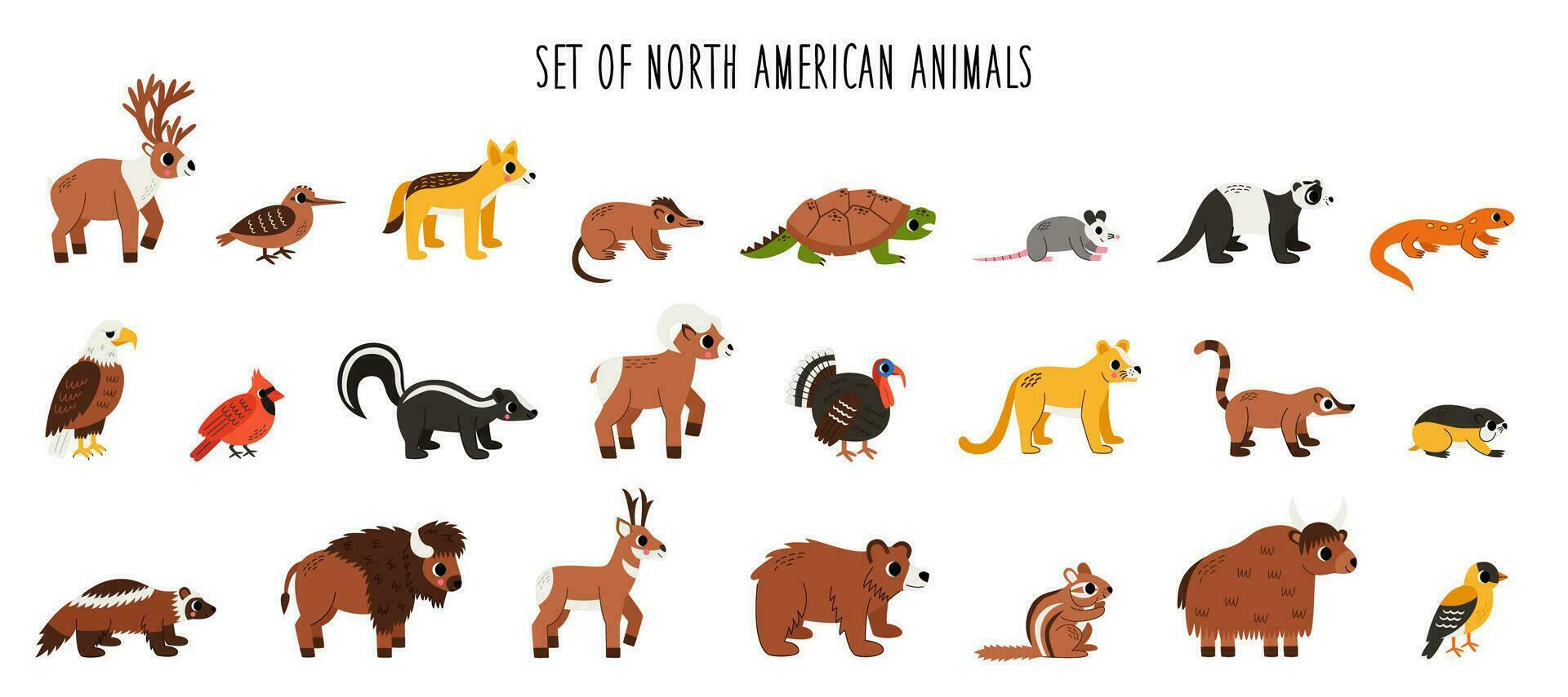 Set of cute North American animals with in cartoon style on white background. vector