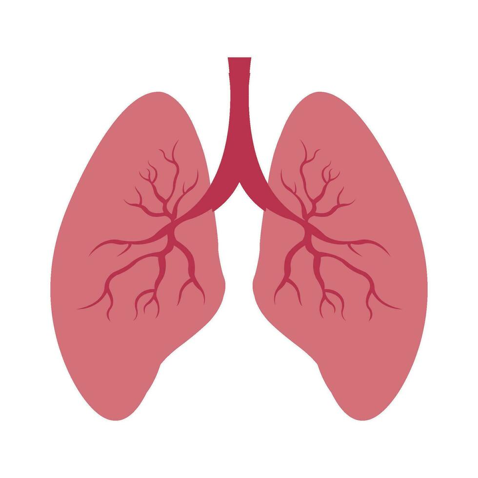 lungs icon logo vector design template