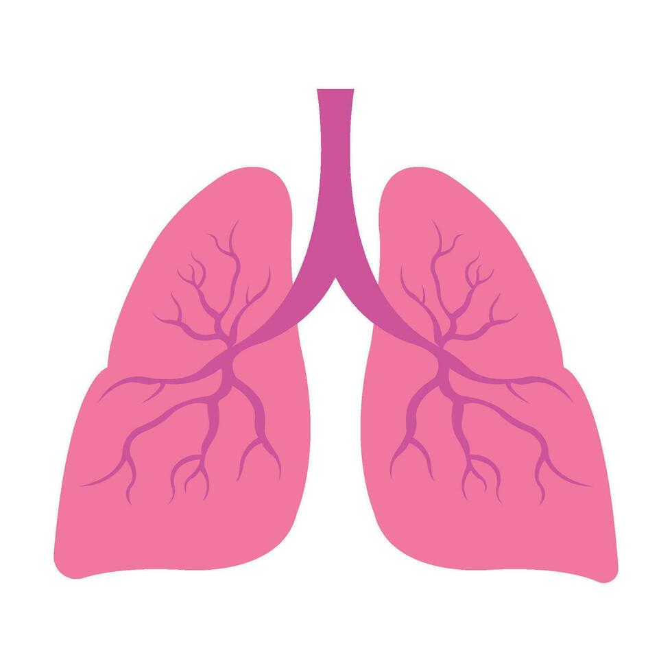 lungs icon logo vector design template