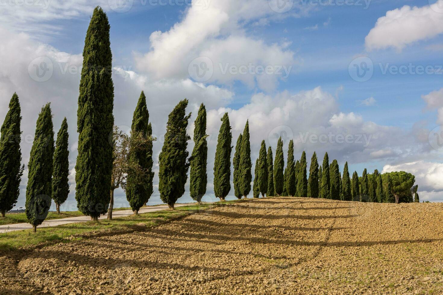 Famous Tuscany landscape with curved road and cypress, Italy, Europe. Rural farm, cypress trees, green field, sunlight and cloud. photo