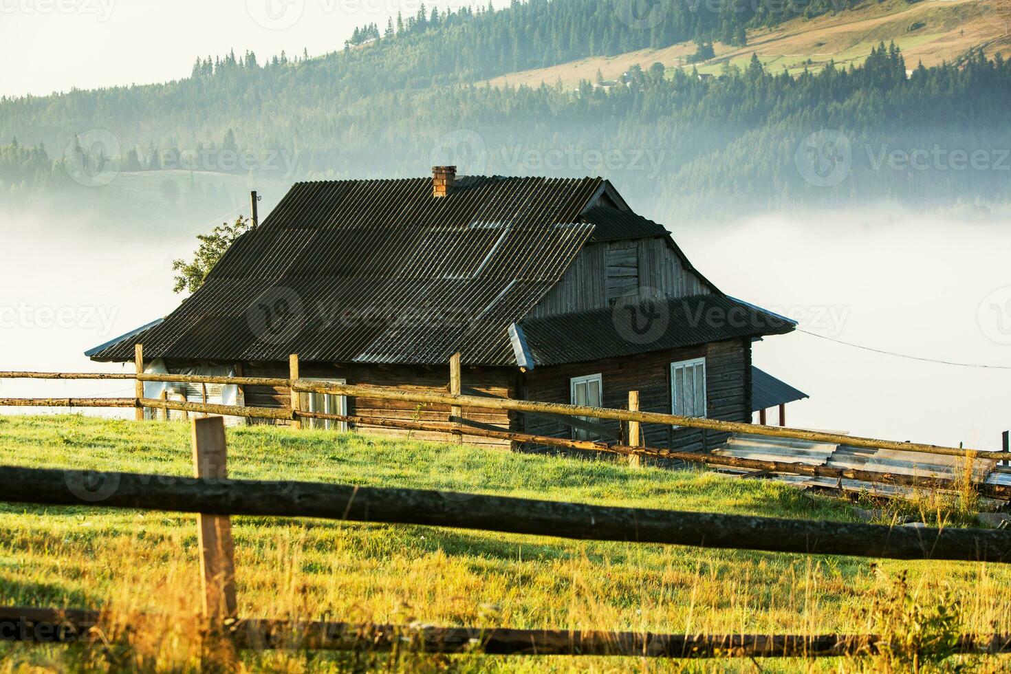 verano paisaje en el cárpato montañas. ver de el montaña pico hoverla. hermoso ucranio montaña cárpato hoverla. foto