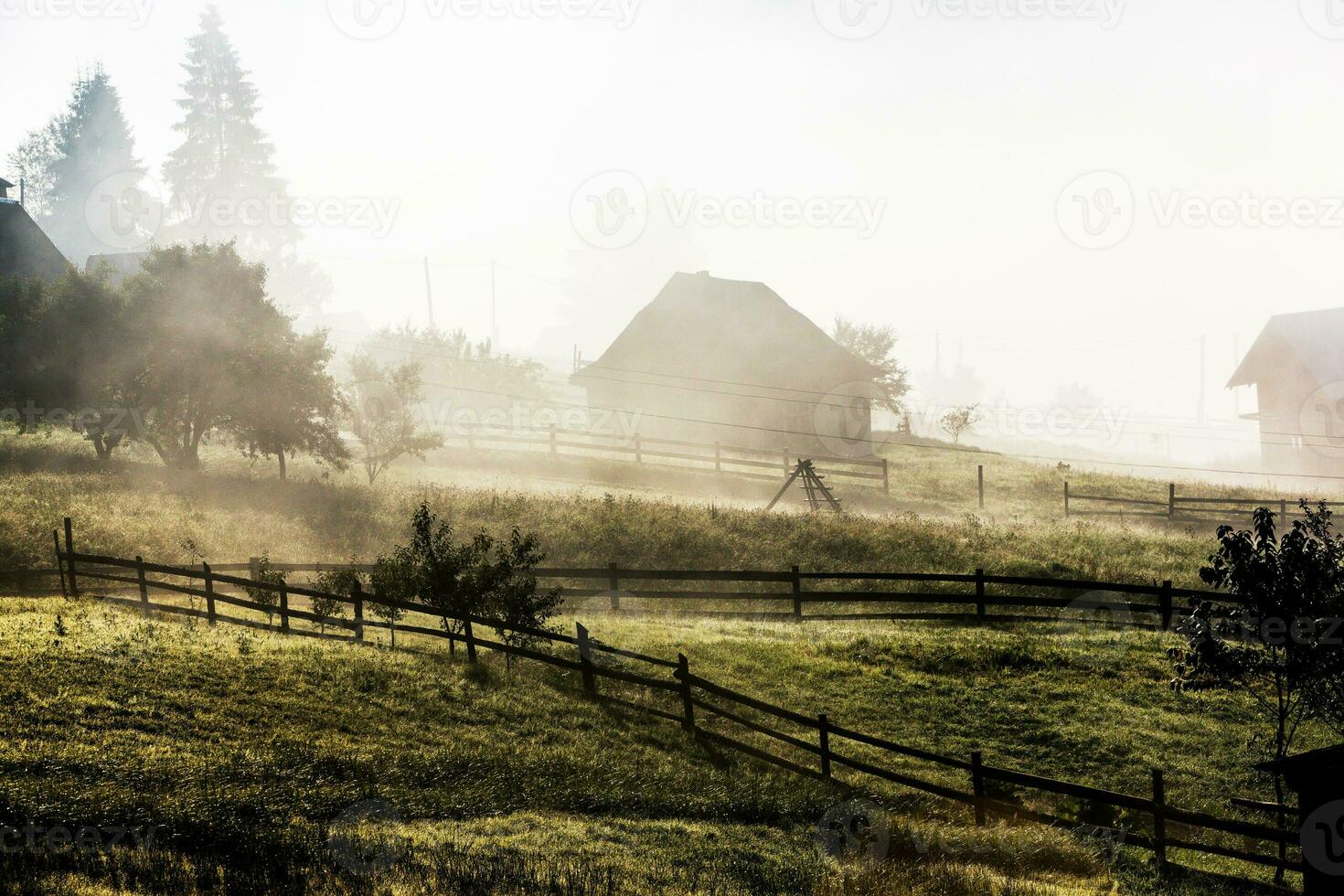 Summer landscape in the Carpathian mountains. View of the mountain peak Hoverla. Bautiful Ukrainian mountain Carpathian Hoverla. photo