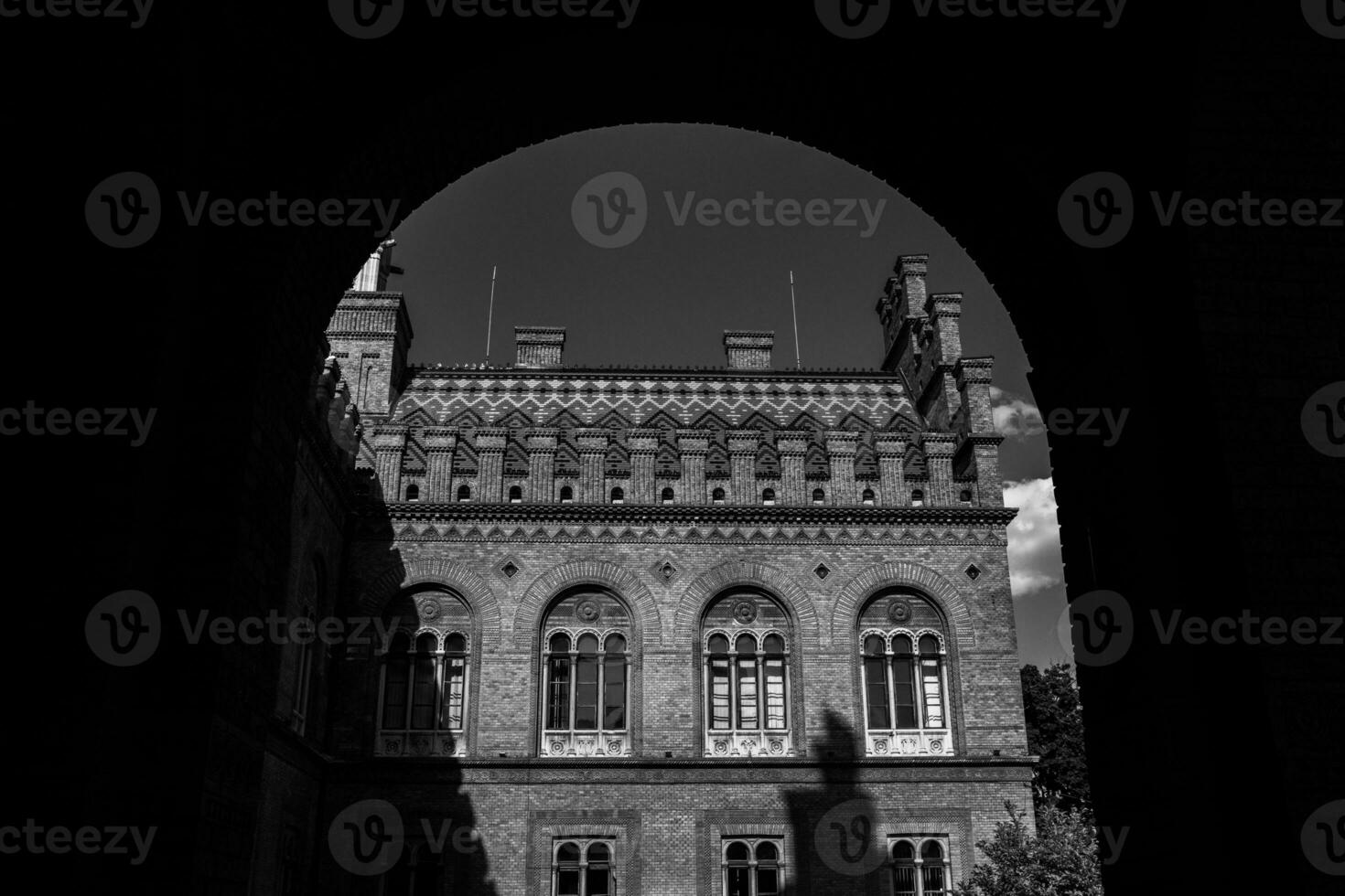 Architecture and streets of the old town. The historic architecture of Chernivtsi, Ukraine. Old city after the rain. photo